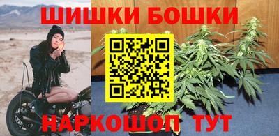 индика Пушкино