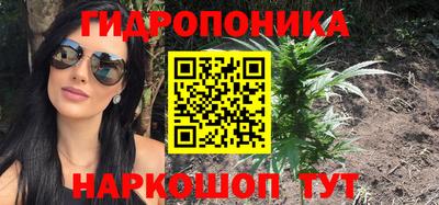 индика Пушкино